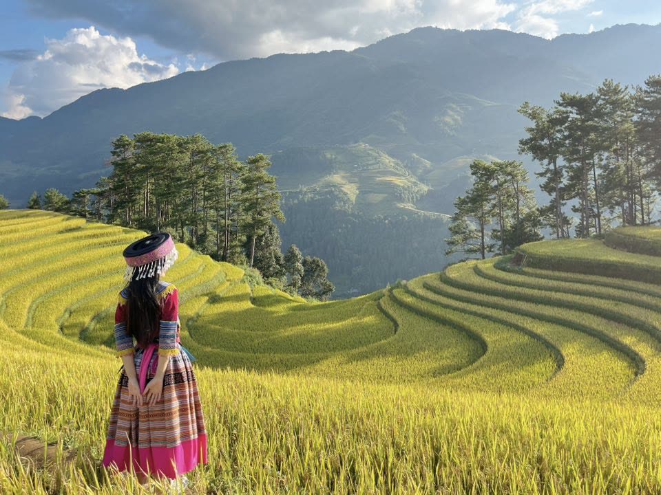 Mùa vàng vùng cao Tây Bắc