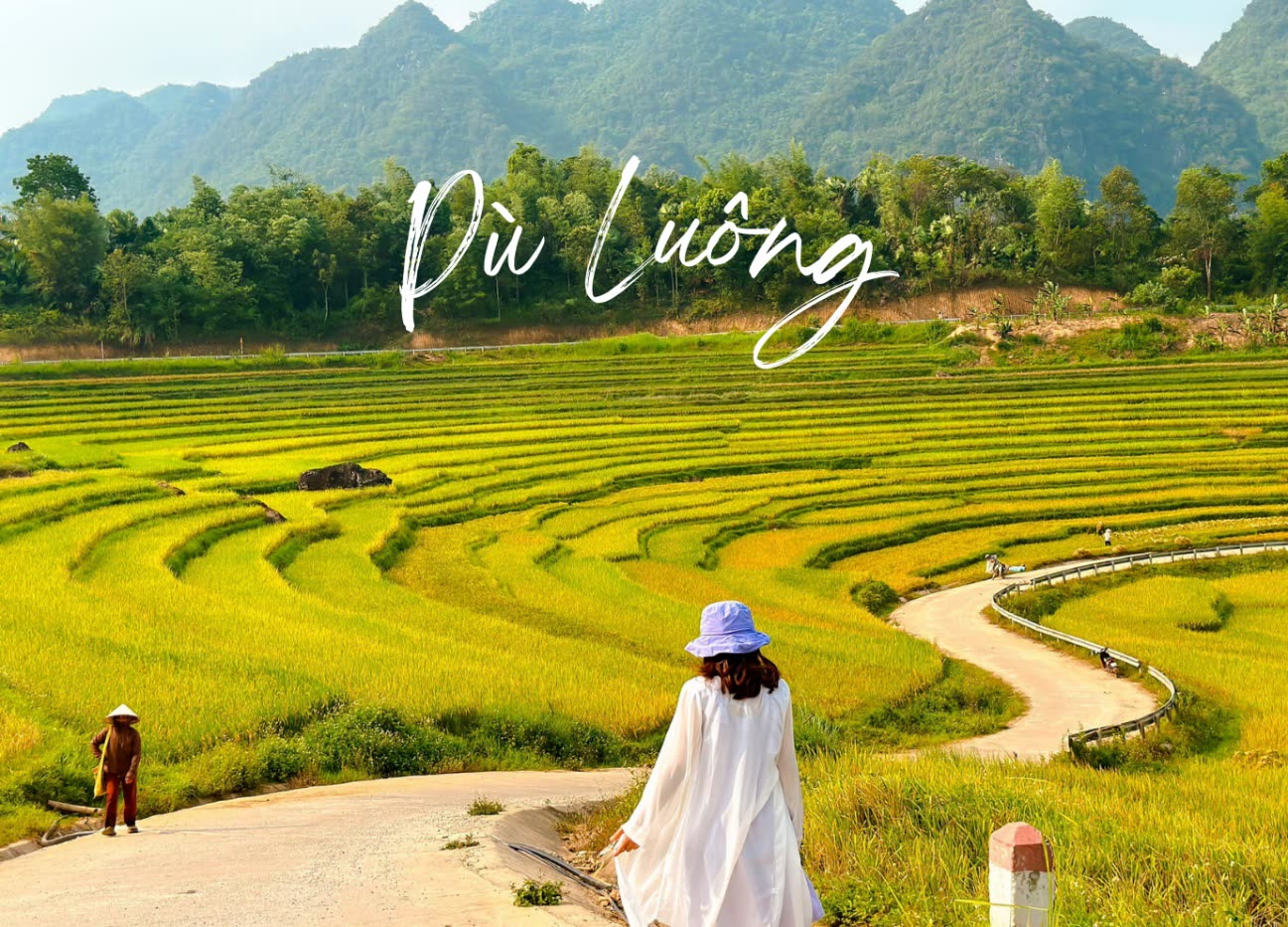 Ruộng bậc thang Pù Luông