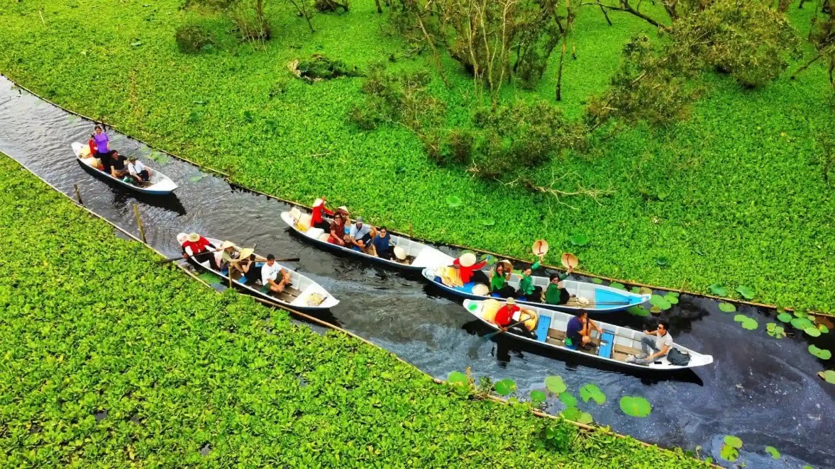Ghe thuyền giữa rừng tràm Trà Sư