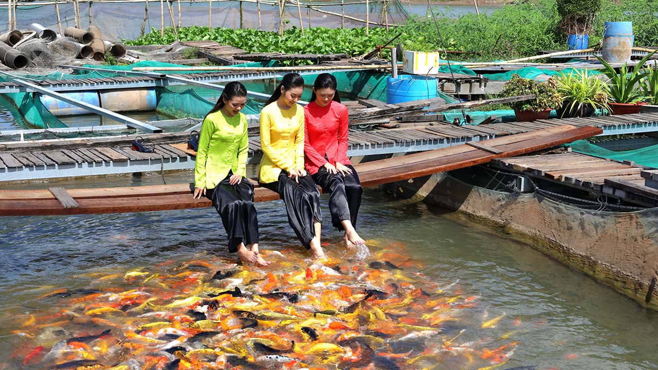 Trải nghiệm làng cá bè Cồn Sơn